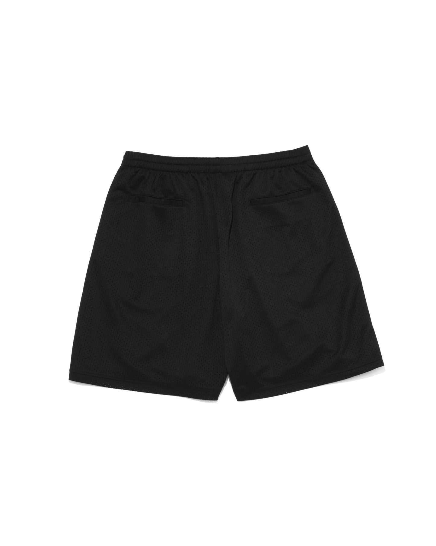 GSX Logo Mesh Board shorts