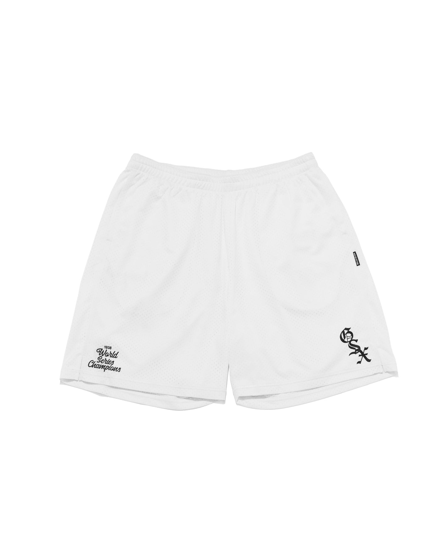 GSX Logo Mesh Board shorts