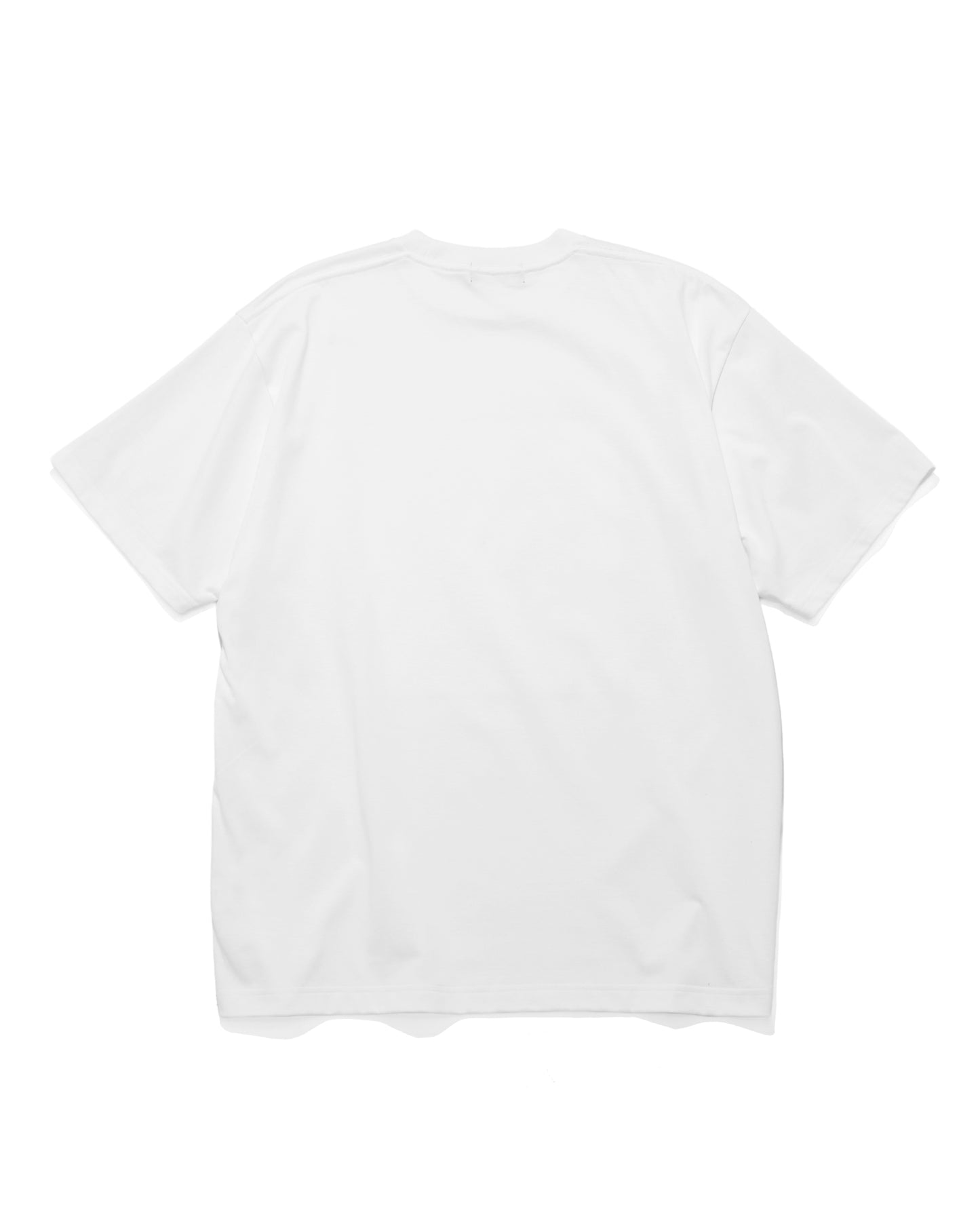 Box Logo Twin Photo Tee